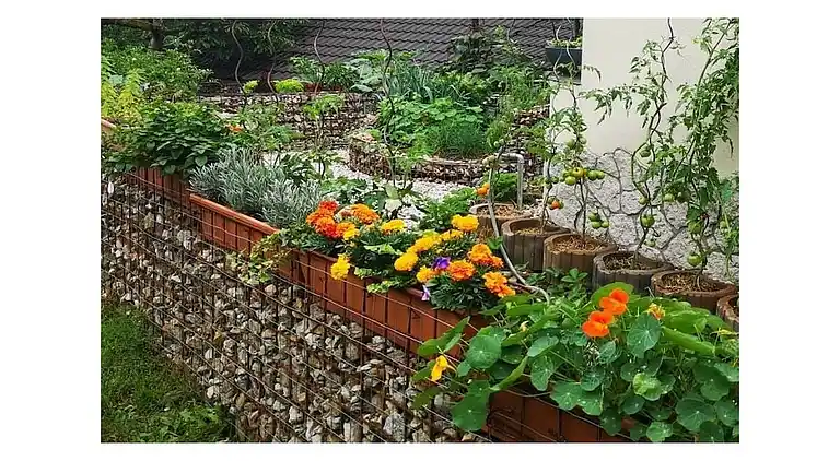 Ferienhaus in Tarsch