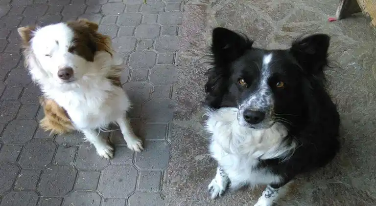 Ferienhaus in Tarsch