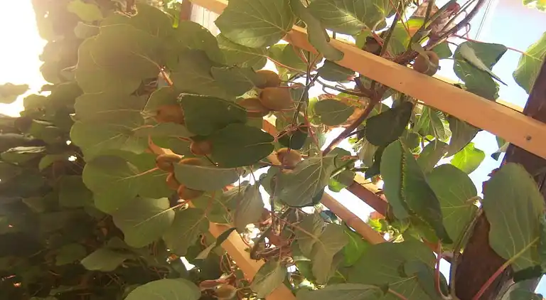 Ferienhaus in Tarsch