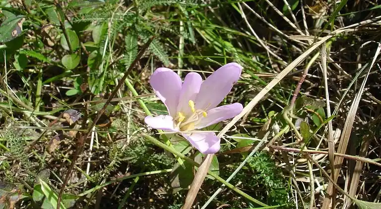 Ferienhaus in Tarsch