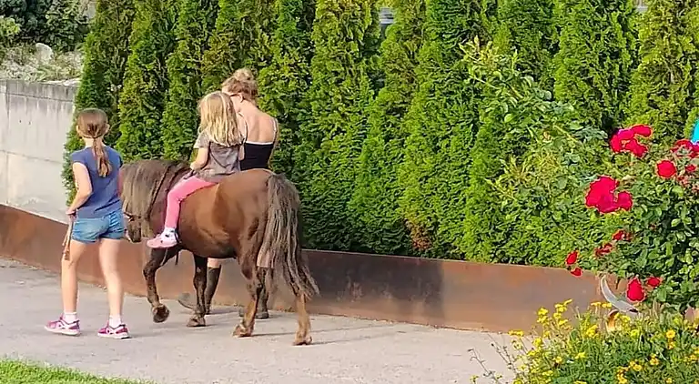 Ferienhaus in Tarsch