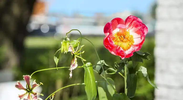 Feriebolig i Loosdrecht