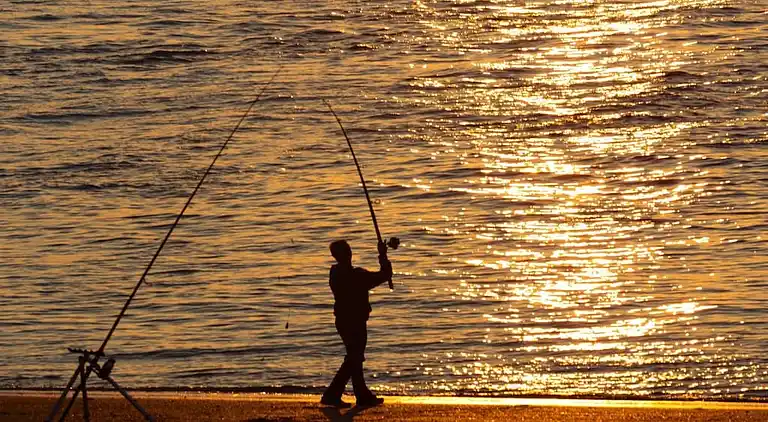 Holiday home in Kamperland