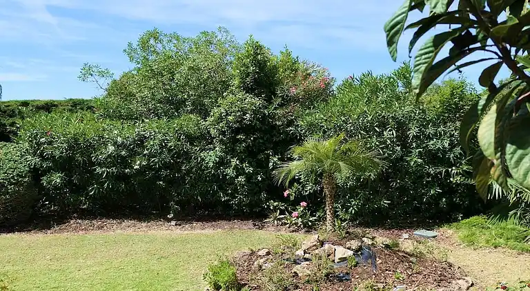 Holiday home in Carvoeiro