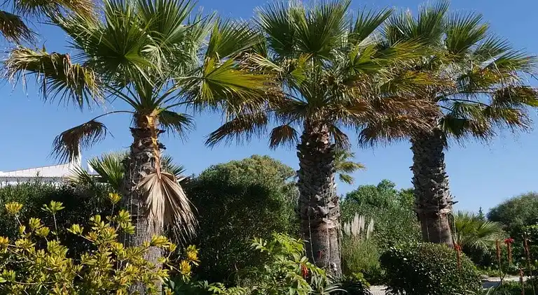 Holiday home in Carvoeiro