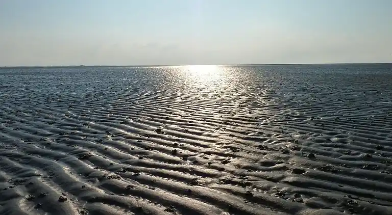 Holiday home in Westerbüttel