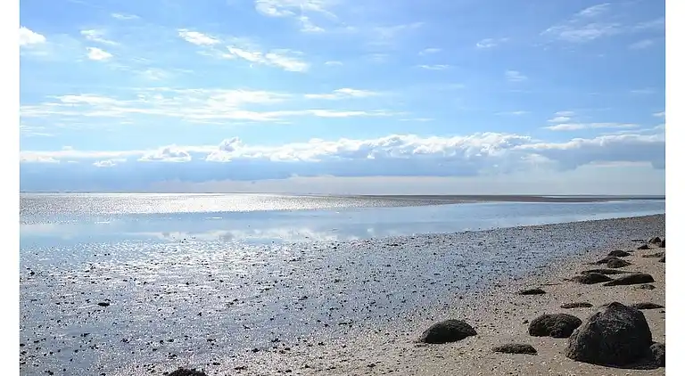 Holiday home in Westerbüttel