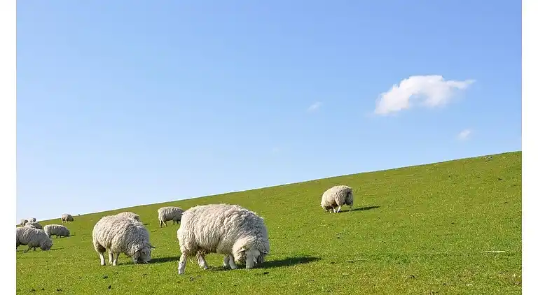 Holiday home in Westerbüttel