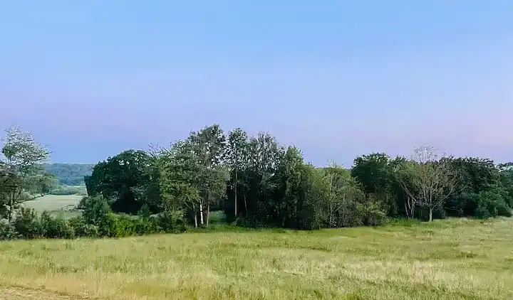 Lys og moderne feriebolig nær strand og skov