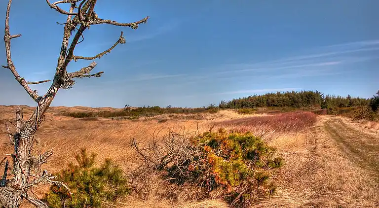 Holiday home in Pandrup