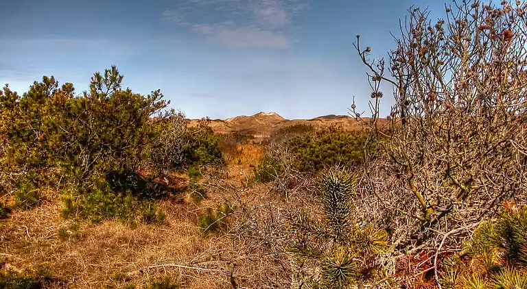 Holiday home in Pandrup