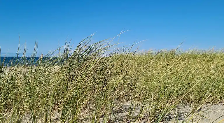 Holiday home in Pandrup