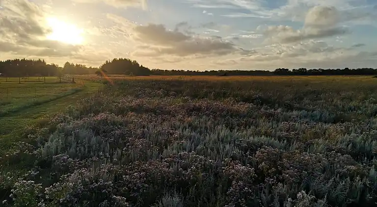 Holiday home in Brønderslev
