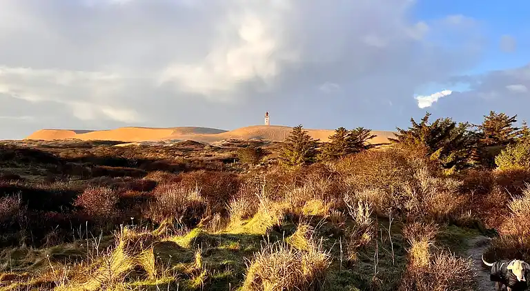 Holiday home in Nr Lyngby Strand