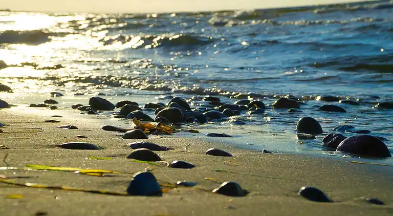 Holiday home in Skovmose