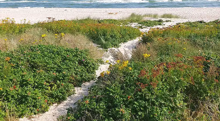 Holiday home in Skovmose