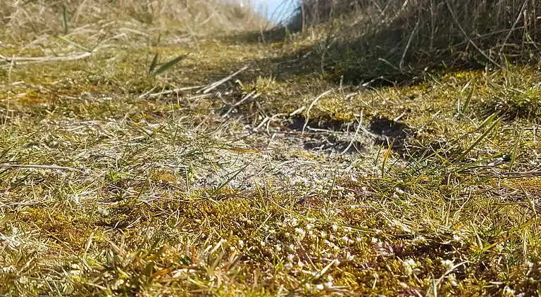 Holiday home in Skovmose