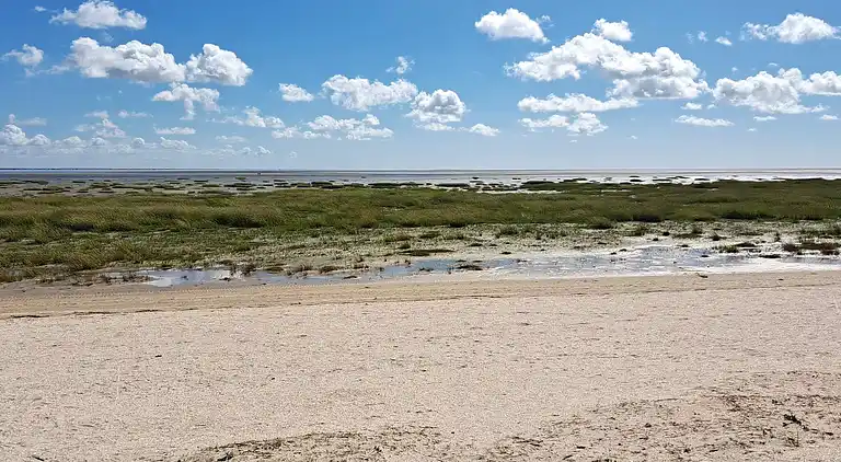 Vakantiehuis in Fanø