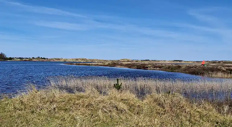Semesterbostad vid Vejers Strand