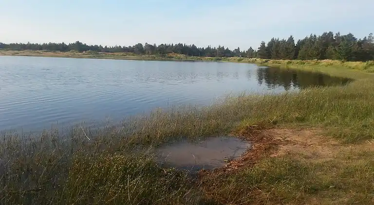 Semesterbostad vid Vejers Strand