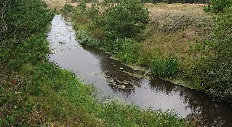 Semesterbostad vid Vejers Strand