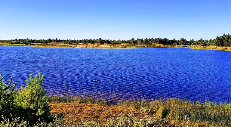Semesterbostad vid Vejers Strand