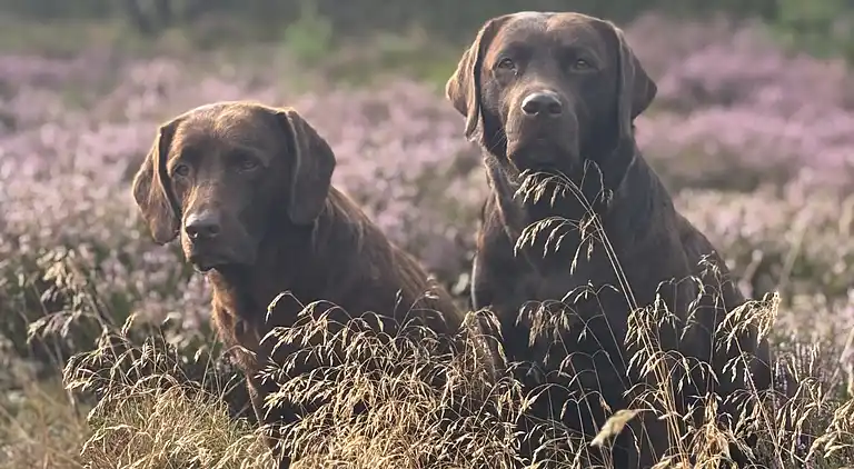 Unik beliggenhed på kæmpe solrig naturgrund 