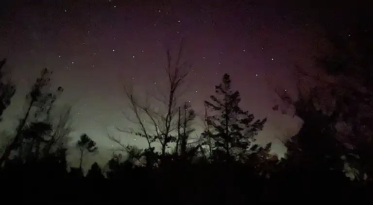 Unik beliggenhed på kæmpe solrig naturgrund 
