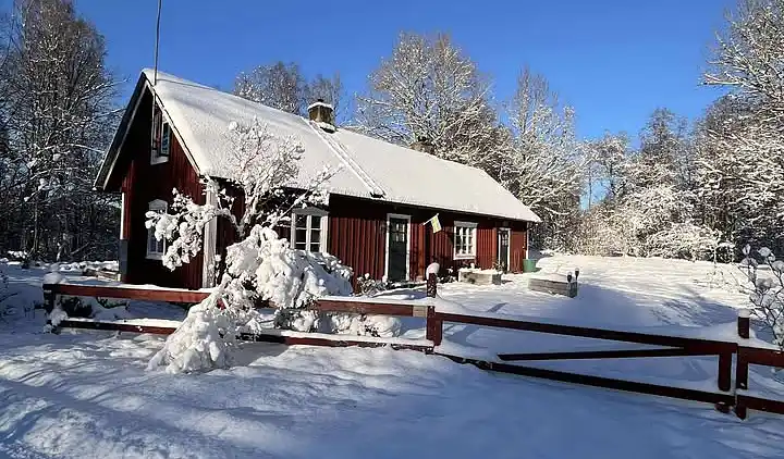 Ødegård i skoven ved større sø