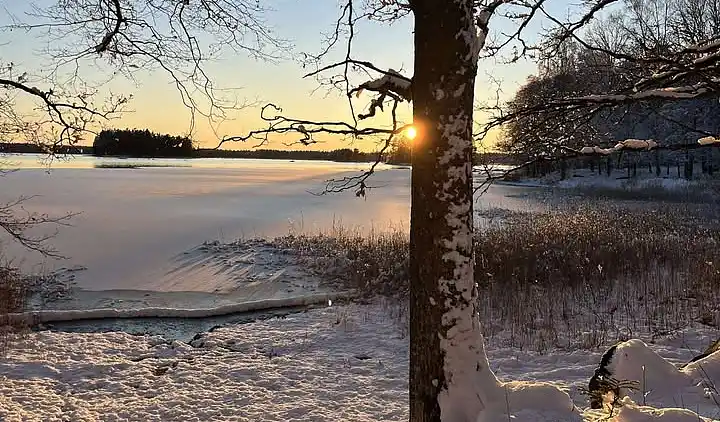 Ødegård i skoven ved større sø