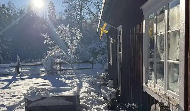 Ødegård i skoven ved større sø