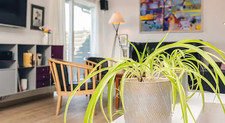 Holiday home in Jammerbugt