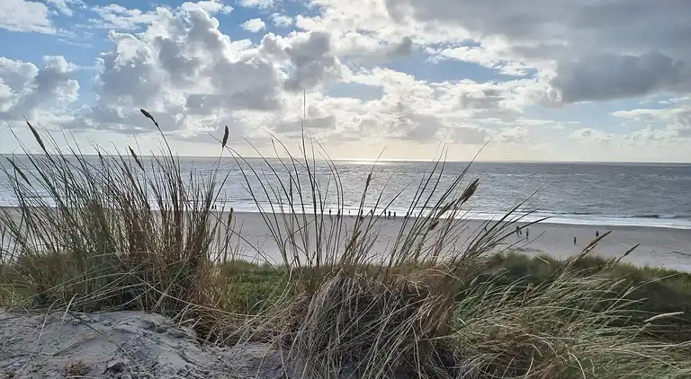Sommerhus i Blåvand