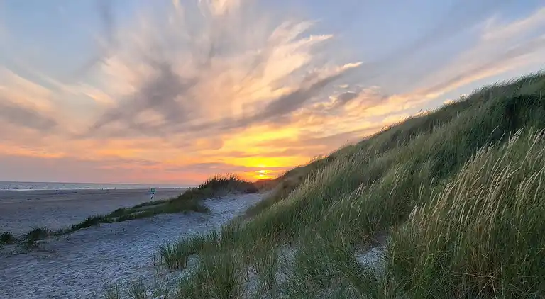 Sommerhus i Blåvand