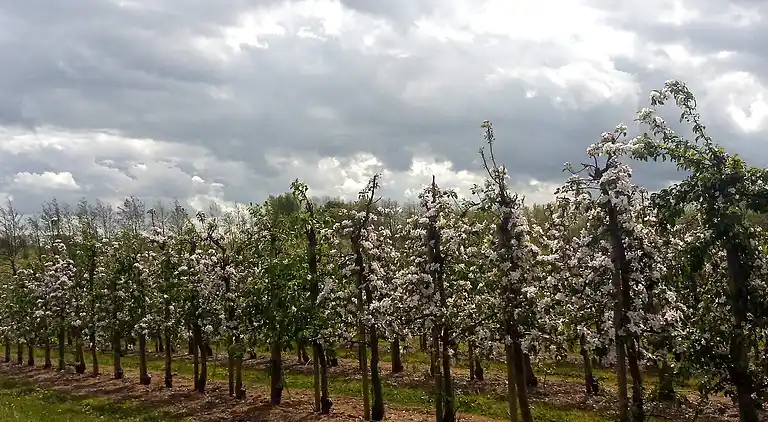 Holiday home in Brenderup