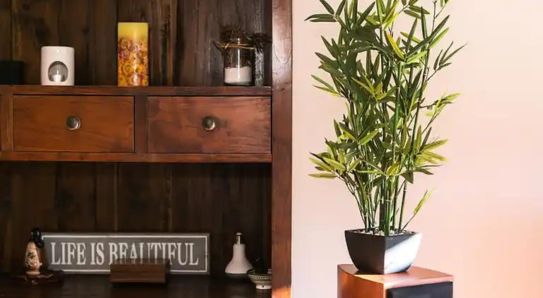 Ferienwohnung in Palafrugell