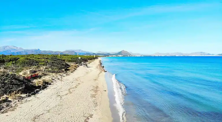 Ferienwohnung in Alcúdia