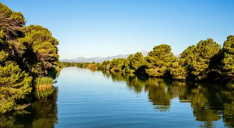 Ferienwohnung in Petra