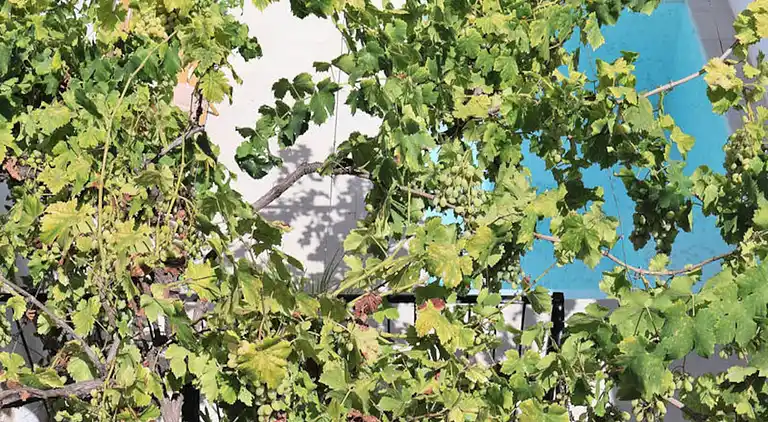 Ferienwohnung in Muro