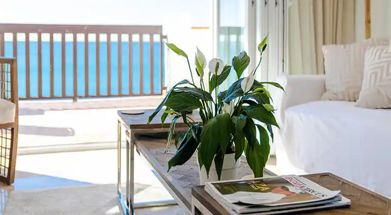 Ferienwohnung in Mijas