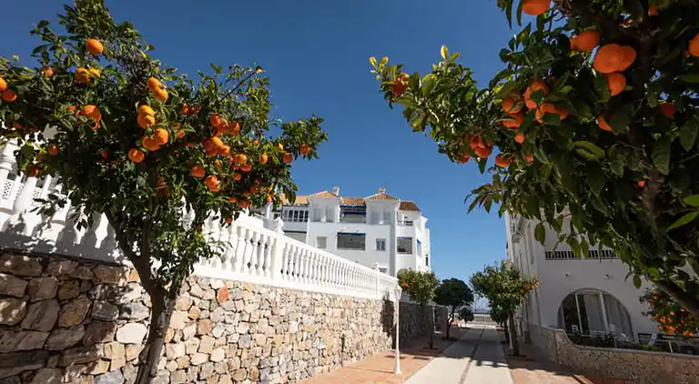 Apartment in Nerja