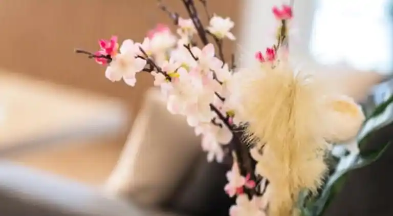 Ferienwohnung in Les Baumettes