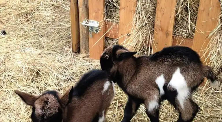 Ferienwohnung in Sorges
