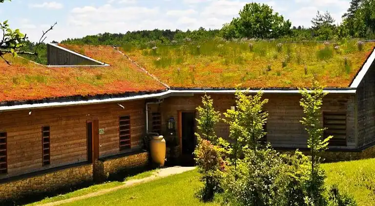 Ferienwohnung in Sorges