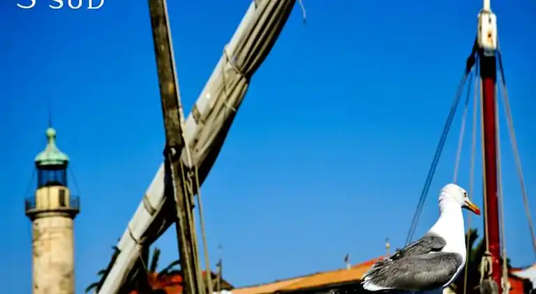 Ferienwohnung in Okzitanien