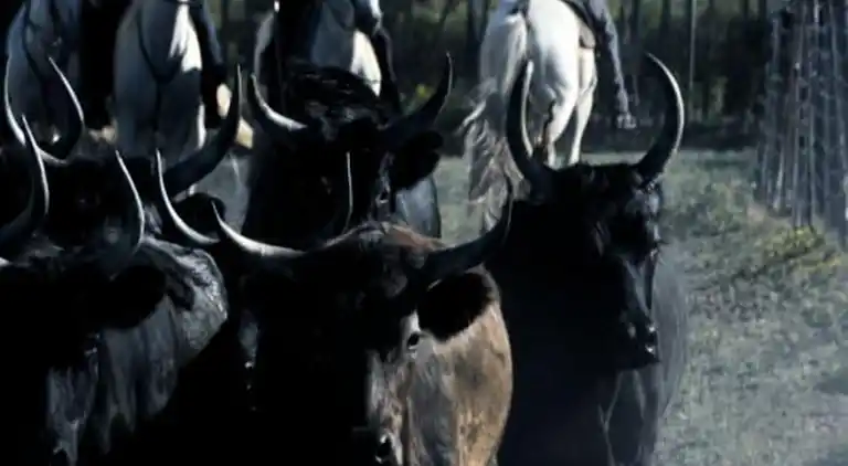 Ferienwohnung in Okzitanien