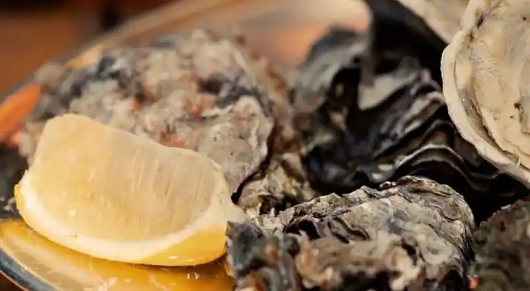 Ferienwohnung in Okzitanien