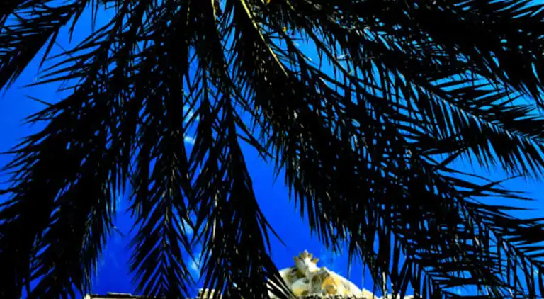 Ferienwohnung in Okzitanien