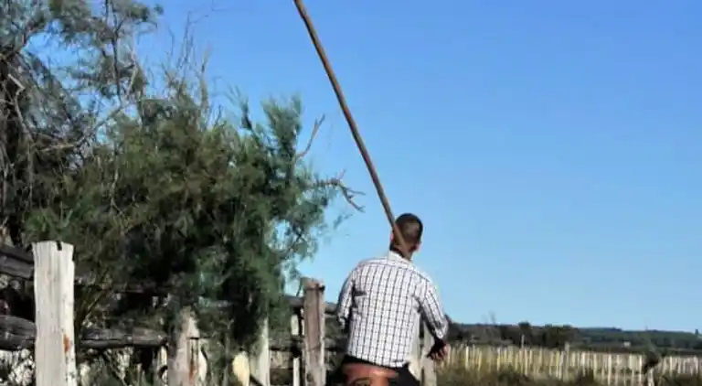 Ferienwohnung in Okzitanien