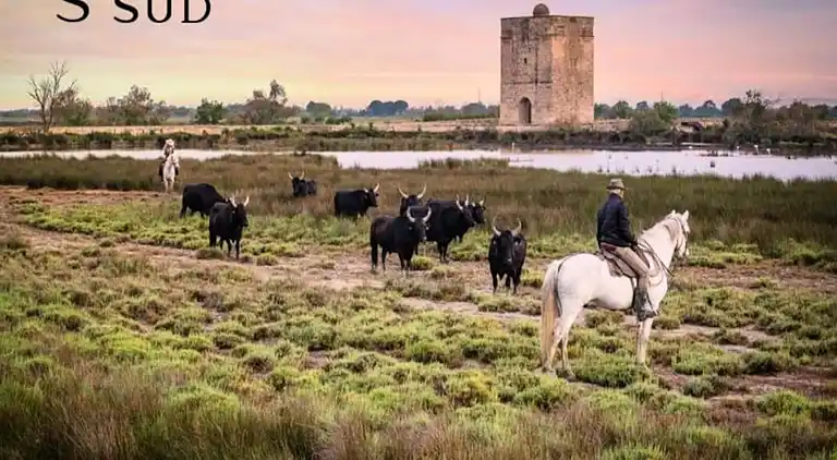 Ferienwohnung in Okzitanien